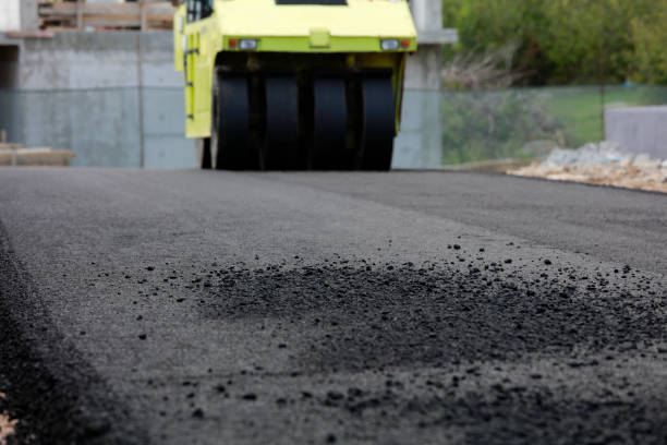 Best Professional Driveway Pavers  in Lake Nacimiento, CA